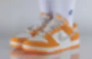 Nike Dunk Low Safari Swoosh