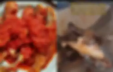 Viral video orang makan lauk ikan tapi menemukan hal menijikan di lauknya