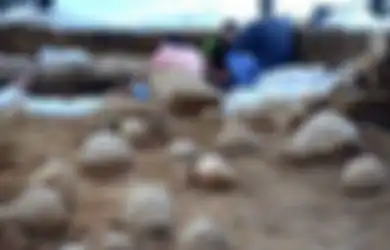 Berusia Lebih dari 1.900 Tahun, Terungkap Lokasi Mesin Ballista Roma Selama Pengepungan Yerusalem, Buktikan Kekuatan Tentara Romawi yang Hancurkan Bait Suci Kedua