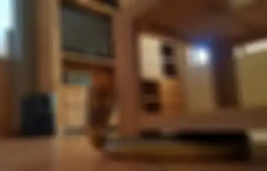 Ular Banyak Keluar dari Sarang Saat Musim Hujan Tiba dan Masuk ke Rumah-rumah, Kenali Jenis Bisa Ular dan Jangan Pernah Lakukan Hal Ini Ketika Digigit Ular!