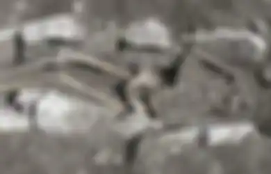 Berusia 3.000 Tahun, Sisa-sisa Kerangka dengan Tengkorak yang Tidak Utuh Ditemukan di Dekat Gunung Lykaion di Yunani, Benarkah Karena Pengorbanan Manusia?