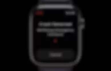 Car crash detection apple Watch Series 8