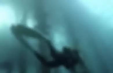Gisel sengaja posting foto diving unik di akun media sosial miliknya. Mantan istri Gading Marten ini berhasil selfie bareng ikan cantik di Alor.