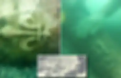 Berusia 460 Tahun, Bangkai Kapal Abad Keenam Belas Ini Ditemukan di Lepas Pantai Florida dengan 22 Meriam dan Satu Monumen Marmer di Dalamnya