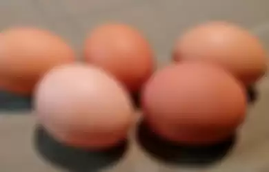 Aneka tips harian, ternyata telur tidak boleh ditaruh di rak kulkas.