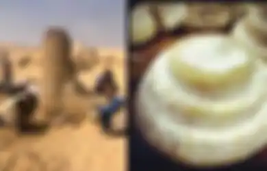 Berusia 2.600 Tahun, Blok Keju Putih Ini Ditemukan di Saqqara Necropolis Giza, Mesir, dalam Tembikar Kuno Berasal dari Dinasti ke-26 Mesir Kuno