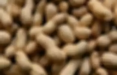 Manfaat Kacang Tanah