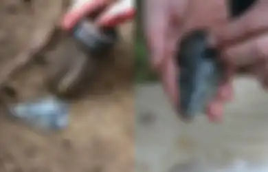 Berumur Antara 1.000 Hingga 4.000 Tahun, Ditemukan Artefak dengan Batu Permata Obsidian Langka di Lembah Willamette, Oregon