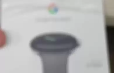 Gambar kotak retail Google Pixel Watch yang bocor di forum Reddit.