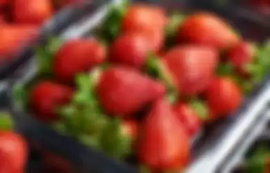 Stroberi masuk kategori buah untuk kolesterol, karena mempunyai kandungan antioksidan yang tinggi.