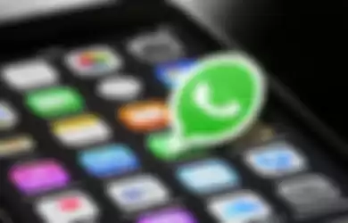 Berikut cara memulihkan akun whatsapp yang terkena hack