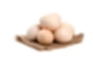 Ilustrasi telur 