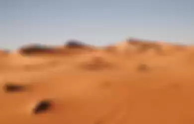 Perushaan ini ubah padang pasir menjadi tanah yang subur.