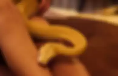 Ilustrasi digigit ular di kaki