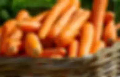 Tips kesehatan yang didapat dari wortel.