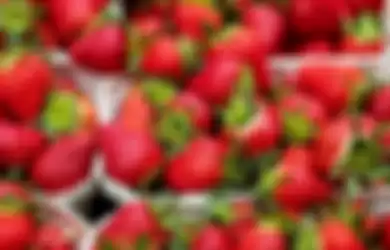 Aneka tips harian ini akan membagikan cara membersihkan buah stroberi agar pestisida hilang.