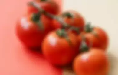 Begini cara menyimpan tomat di rumah tanpa masuk kulkas