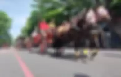 (Ilustrasi) Kuda penarik kereta kencana Kaesang Pangarep dan Erina Gudono