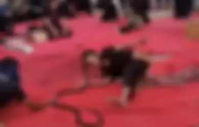 Begini deretan foto aksi Alprih Priyono pawang ular yang tewas digigit ular king cobra. Netizen sampai komentar begini.