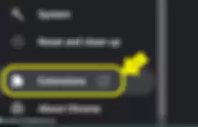 Pilihan Ekstensi di Google Chrome