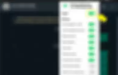 Tombol Toggle di ekstensi Privacy Extention For WhatsApp
