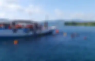 Fakta 356 Wisatawan Terjebak di Karimunjawa, Penyebab hingga Bagaimana Evakuasinya