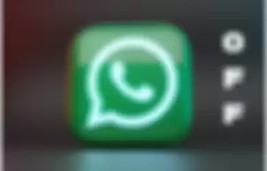 Cara menonaktifkan akun whatsapp sementara tanpa mematikan data