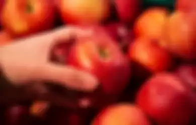inilah manfaat apel yang digadan bisa menurunkan kolesterol tinggi 