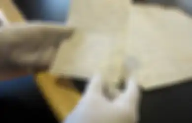 Perbedaan dan Persamaan 3 Jenis Historiografi Indonesia, Apa Saja?