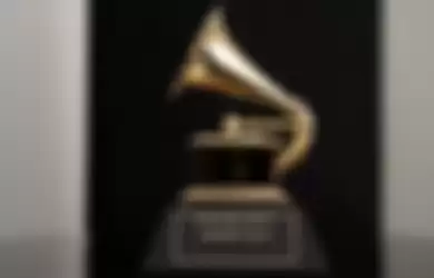 Penghargaan Grammy diberikan kepada musisi dalam berbagai genre, termasuk R&B, hip-hop, country, dan rock. 