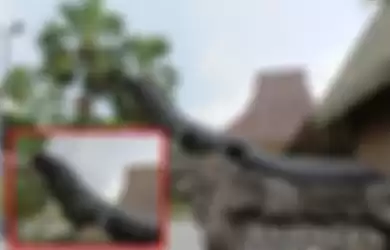 Detail dari patung komodo di Taman Mini juga bisa dipertahankan oleh mode foto Hi-Res di OPPO Reno8 T