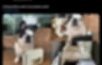 Pamer Anjing Dikalungi Tas Ratusan Juta, Ibu Mario Dandy, Ernie Meike Torondek Diserang Netizen, Sosoknya Terbongkar.
