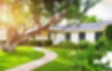 Bisa Jatuh Miskin Sampai Mati, Ini 4 Pohon Pembawa Sial di Rumah Menurut Primbon Jawa, Salah Satunya Sudah Terkenal Angker
