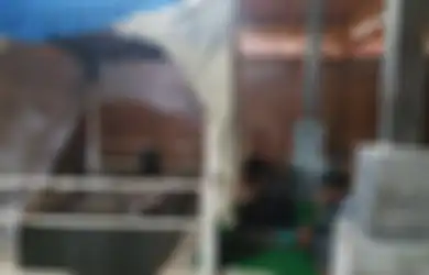 Dari Majapahit ke Gunung Kemukus, Kisah Perjalanan Spiritual Pangeran Samudra Mencari Sunan Kalijaga