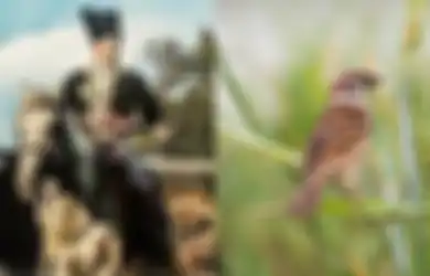 Mitos Ki Juru Taman, Makhluk Gaib Abdi Dalem Sultan Agung yang Pernah Dihukum Akibat Hilangkan Singgasana Mataram
