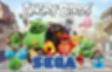 Ilustrasi game Angry Birds yang akan diakuisisi oleh SEGA.