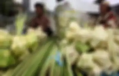 Lebaran Ketupat, Tradisi Syawalan Masyarakat Jawa Timur, Ini Tanggalnya