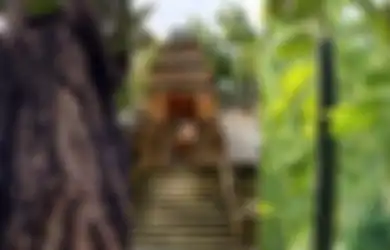 Jadi Cikal Bakal Berdirinya Mataram Islam, Inilah Pohon Mentaok yang 'Biseksual'