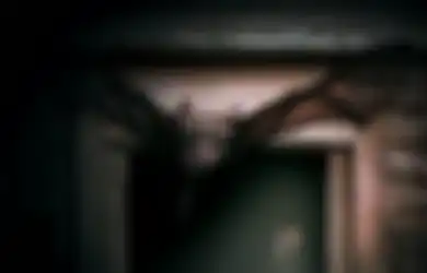 Pertanda Apa Kelelawar Masuk Rumah pada Malam Hari, Benarkah Kematian?