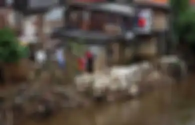 Apa yang Kalian Lakukan Untuk Mengembangkan Wilayah yang Sempit dan Kotor di Wilayah Perkotaan