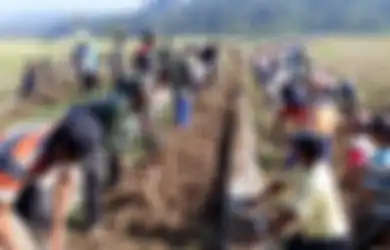 Apa yang Bisa Dilakukan Untuk Meningkatkan Kerja Sama dan Gotong Royong di Berbagai Lingkungan?