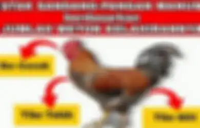 Arti Weton Tibo Cucuk Menurut Primbon Jawa, Benarkah Sosoknya Gampang Dapat Rezeki?