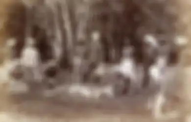 Harimau yang Tak Terkalahkan, Kisah Nyata dari Sayembara VOC untuk Menangkap Raja Hutan di Jawa pada 1640