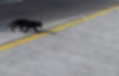 Apakah Anda Termasuk Pemilik 4 Weton Sial? Ini Cara Mengusir Sial Menurut Primbon Jawa