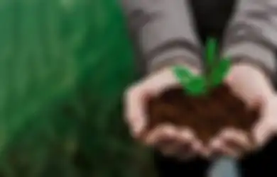 35 Kata-kata Ucapan Hari Pohon Sedunia 2023, Cocok Jadi Caption