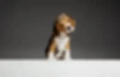 Dikaitkan Dengan Kondisi Yang Tak Baik-baik Saja, Inilah Arti Mimpi Anjing Masuk Rumah