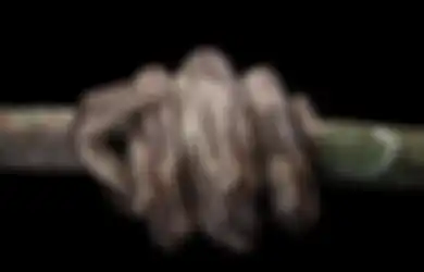 Arti Mimpi Dililit Ular di Kaki Menurut Primbon Jawa, Pertanda Rezeki?