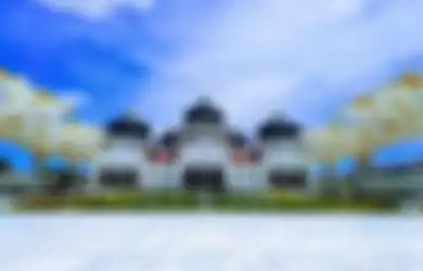 Kondisi Ekonomi Kerajaan Aceh, Kekayaan Meilmpah Berkat Lada Putih