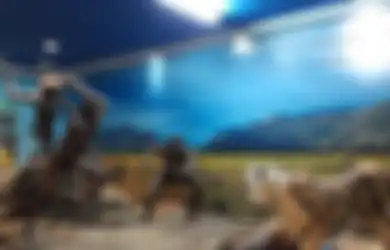 Jejak Purba: Nyanyian Sunyi dari Masa Berburu dan Meramu