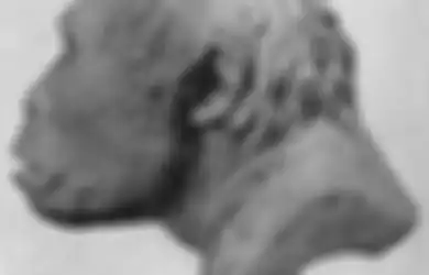 Pemuda Gelisah dan Ngambekan, Ternyata Ini Sosok yang Menemukan Pithecanthropus erectus di Trinil